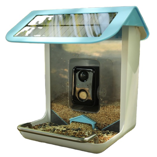 Smart Bird Feeder Camera - Açık Hava Yaban Hayatı Wifi Kamerası