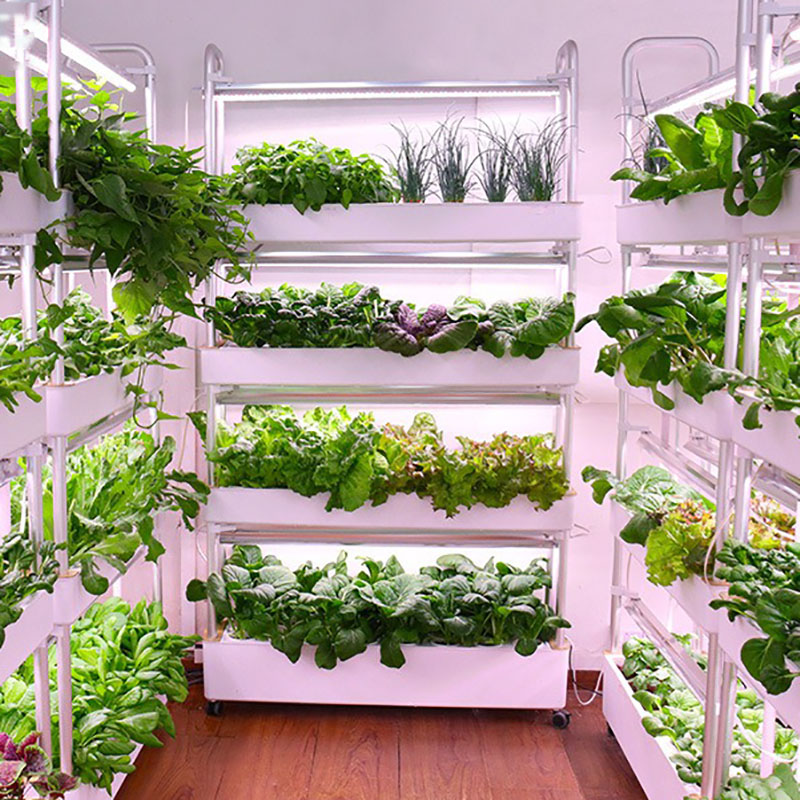 Smart Garden Vertical - Topraksız Yetiştirme Sistemi Dikey Akıllı Kapalı
