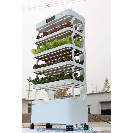 Smart Garden Vertical - Evde Hidroponik Yetiştirme Sistemleri Yeni Gelen