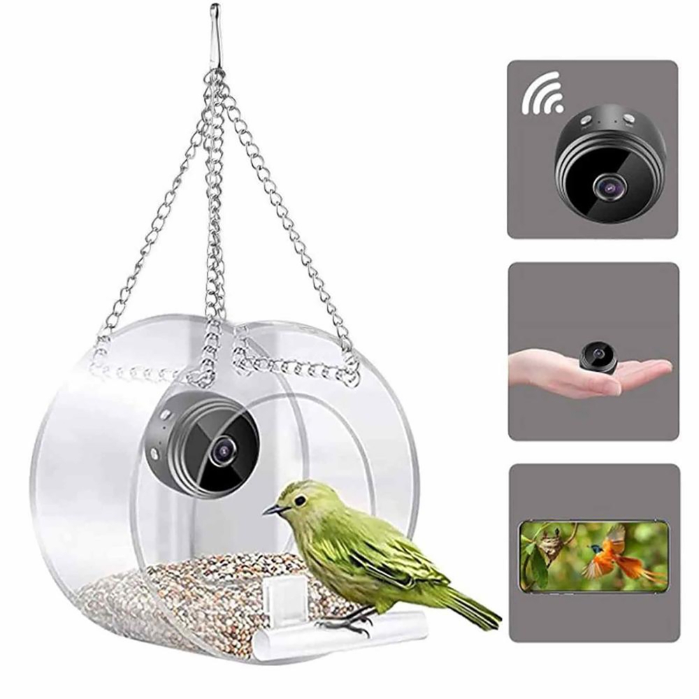 Smart Bird Feeder Camera - Yüksek Çözünürlüklü Gece Görüş Kamerası ile