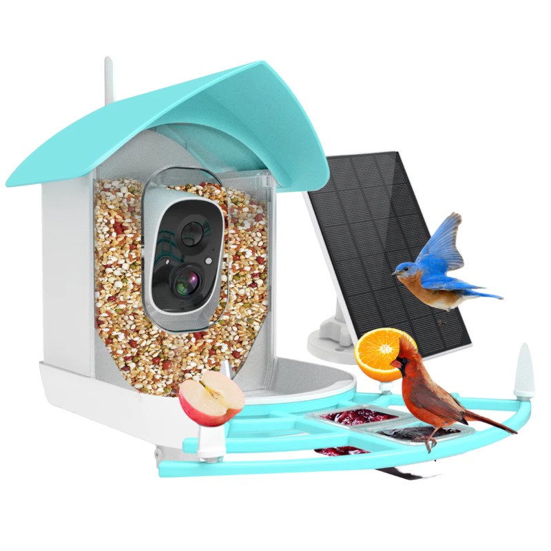 Smart Bird Feeder Camera - Akıllı Kuş Besleyici Gece Görüşlü İç