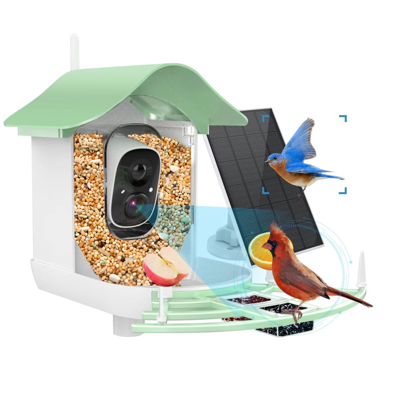Smart Bird Feeder Camera - 2026 Uygulama Video Otomatik Kayıt Kamerası