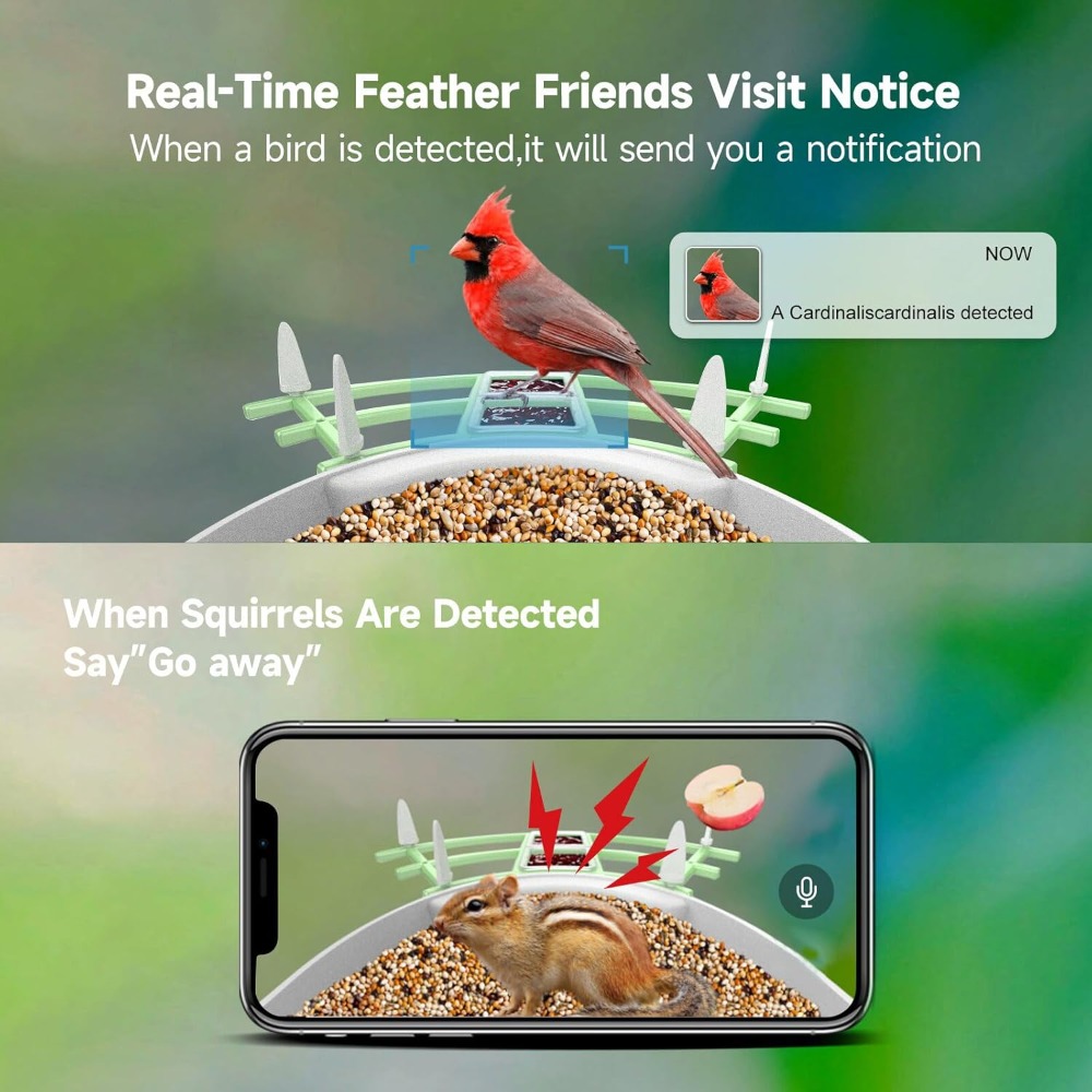 Güneş Enerjili Akıllı Kuş Besl - Smart Bird Feeder Camera incelemesi ve fiyatı