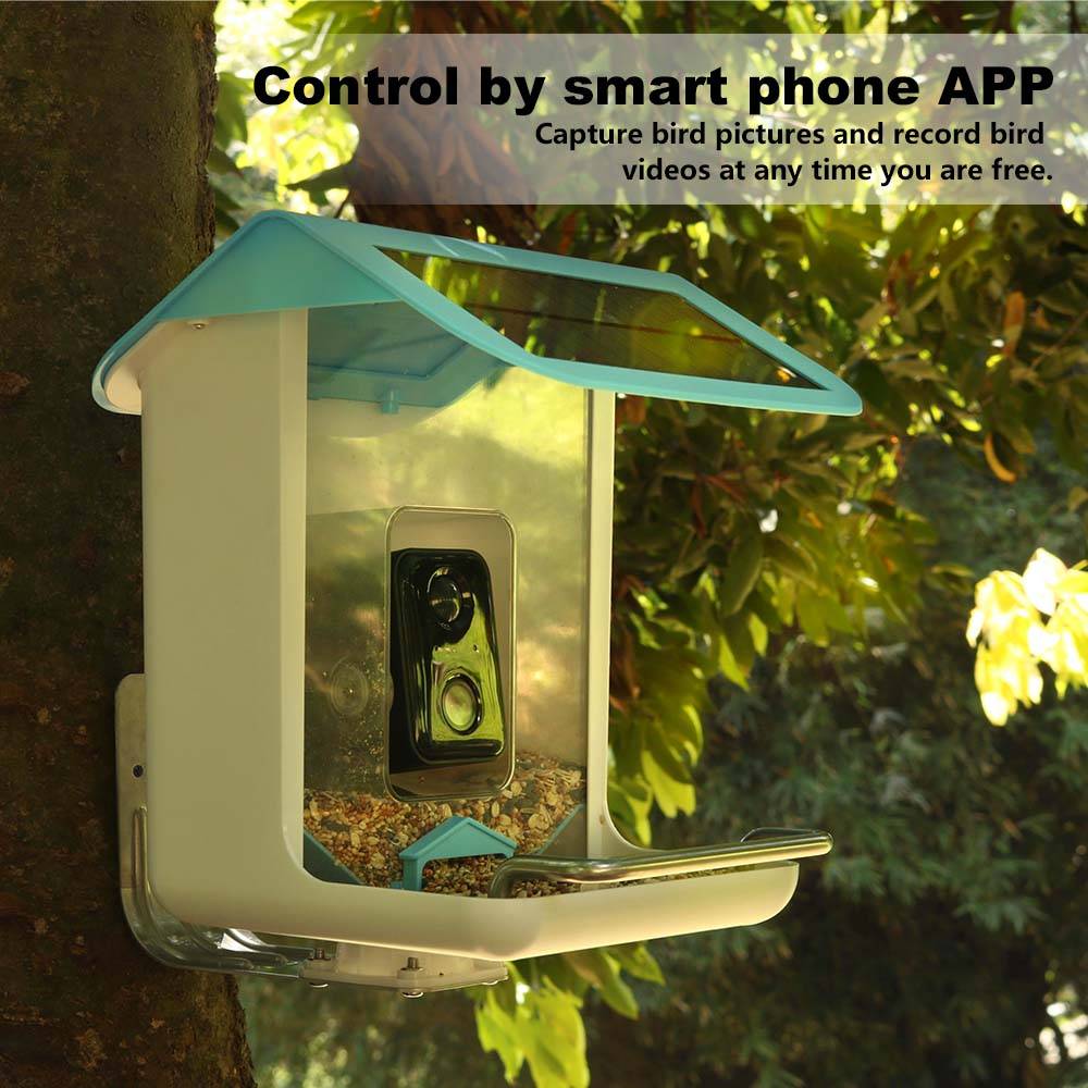 Açık Hava Yaban Hayatı Wifi Ka - Smart Bird Feeder Camera incelemesi ve fiyatı