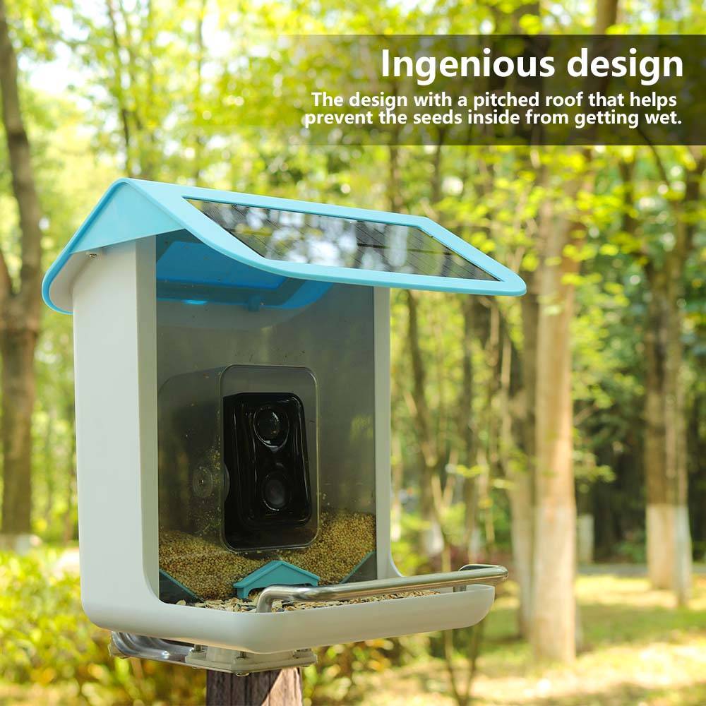 Açık Hava Yaban Hayatı Wifi Ka - Smart Bird Feeder Camera incelemesi ve fiyatı