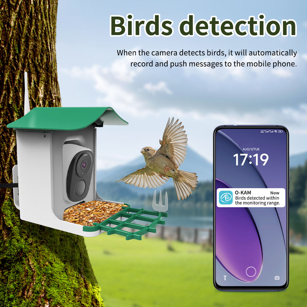 OEM 3MP O-KAM WIFI Renkli Gece - Smart Bird Feeder Camera incelemesi ve fiyatı
