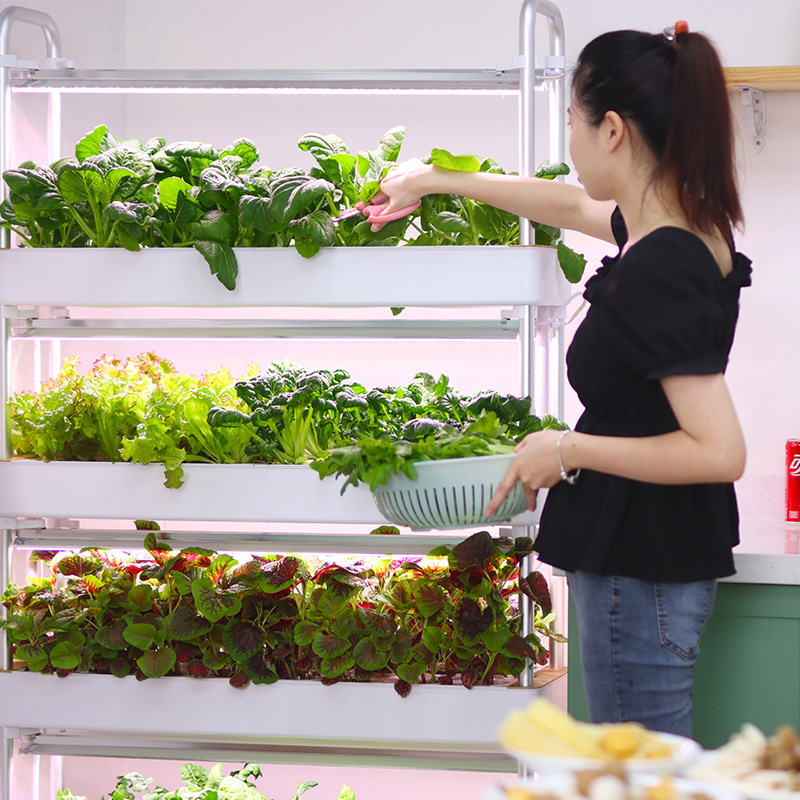 Akıllı İç Mekan Bahçesi Hidrop - Smart Garden Stackable Planters incelemesi ve fiyatı