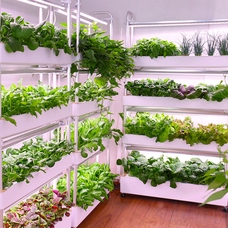 Akıllı İç Mekan Bahçesi Hidrop - Smart Garden Stackable Planters incelemesi ve fiyatı