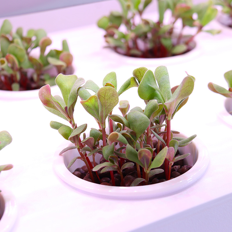 Akıllı İç Mekan Bahçesi Hidrop - Smart Garden Stackable Planters incelemesi ve fiyatı
