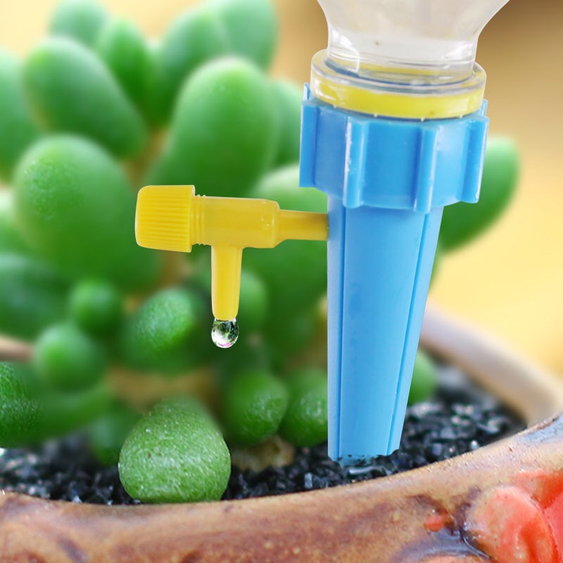 10/1 adet kendi kendine sulama - Smart Garden Herb incelemesi ve fiyatı