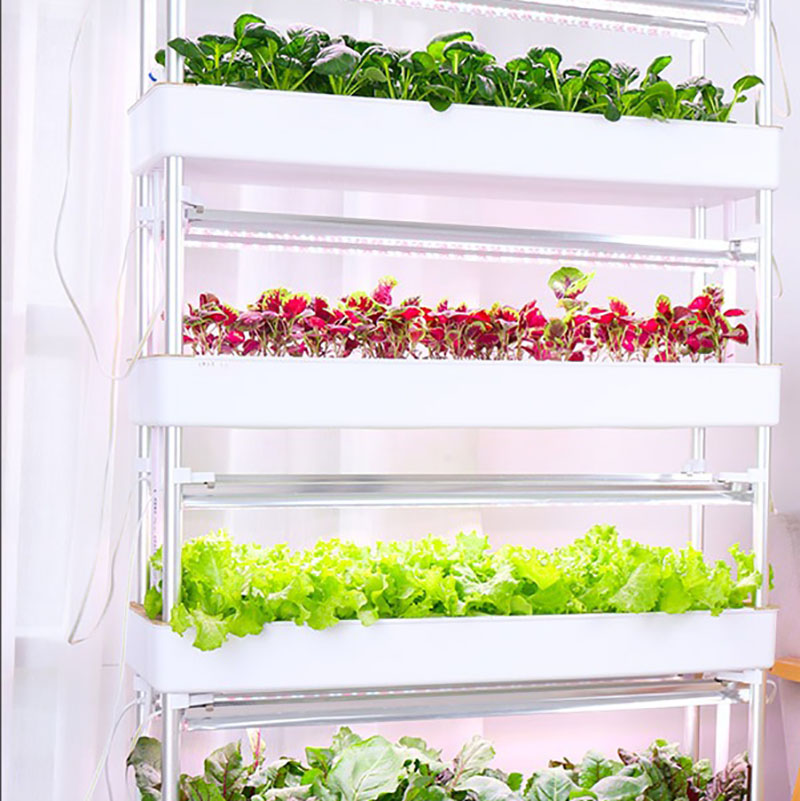 Topraksız Yetiştirme Sistemi D - Smart Garden Vertical incelemesi ve fiyatı