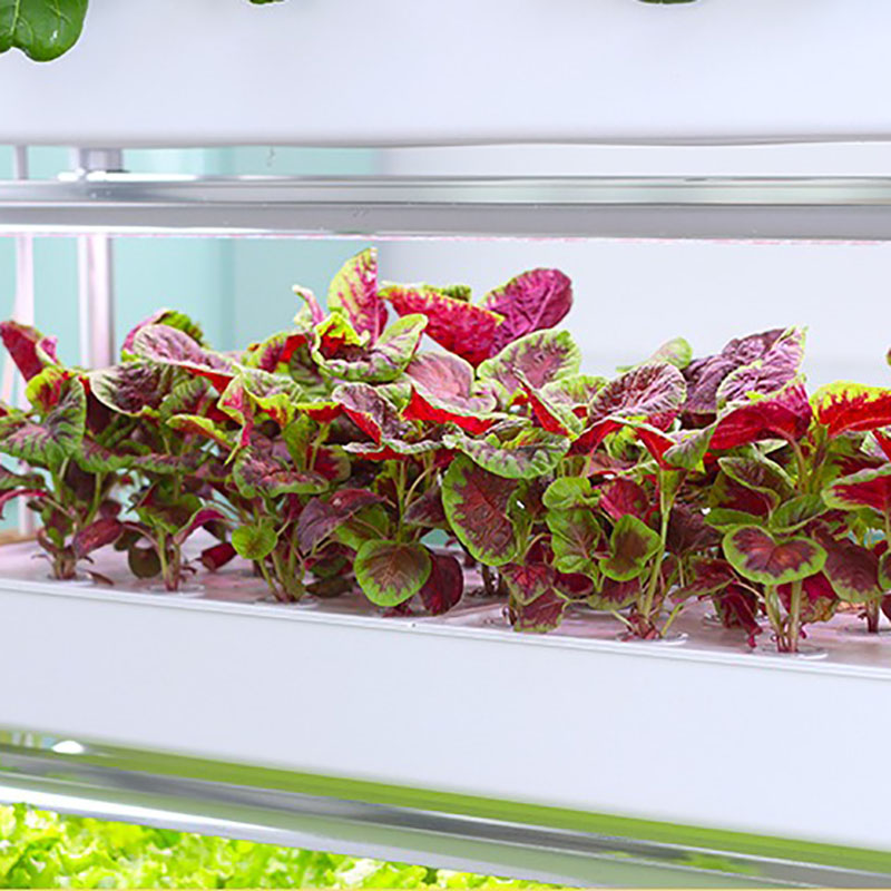 Topraksız Yetiştirme Sistemi D - Smart Garden Vertical incelemesi ve fiyatı