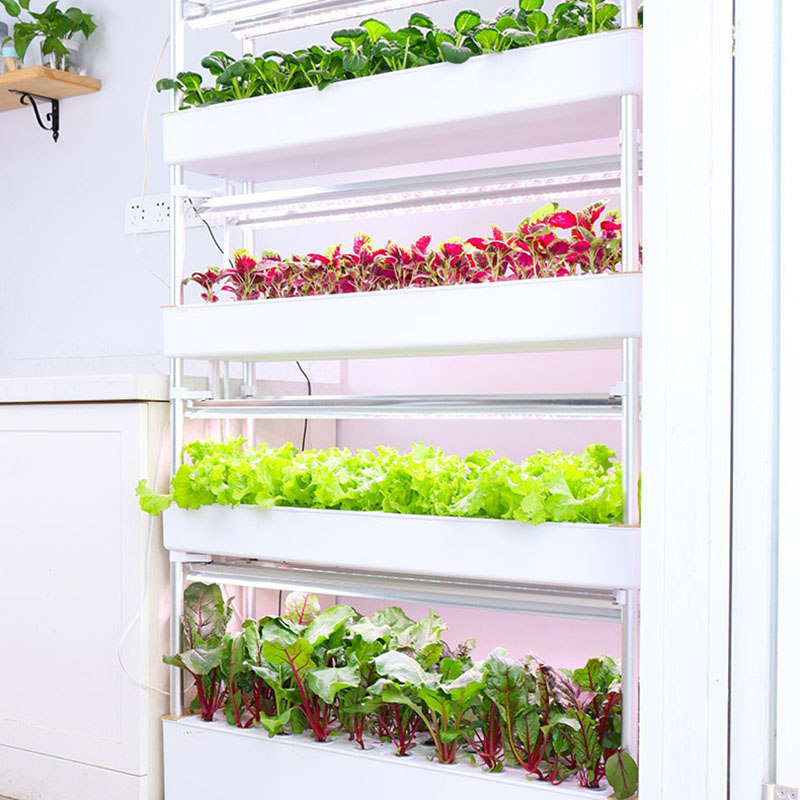 Topraksız Yetiştirme Sistemi D - Smart Garden Vertical incelemesi ve fiyatı