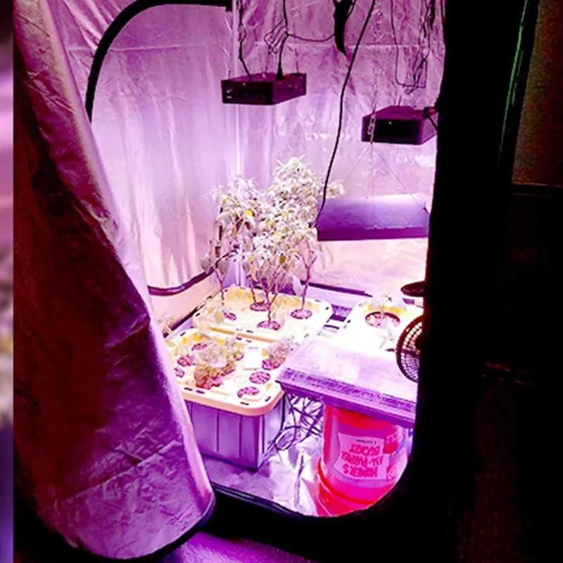 ROHE 100x100x200cm Hidroponik  - Grow Tent Complete Kit incelemesi ve fiyatı