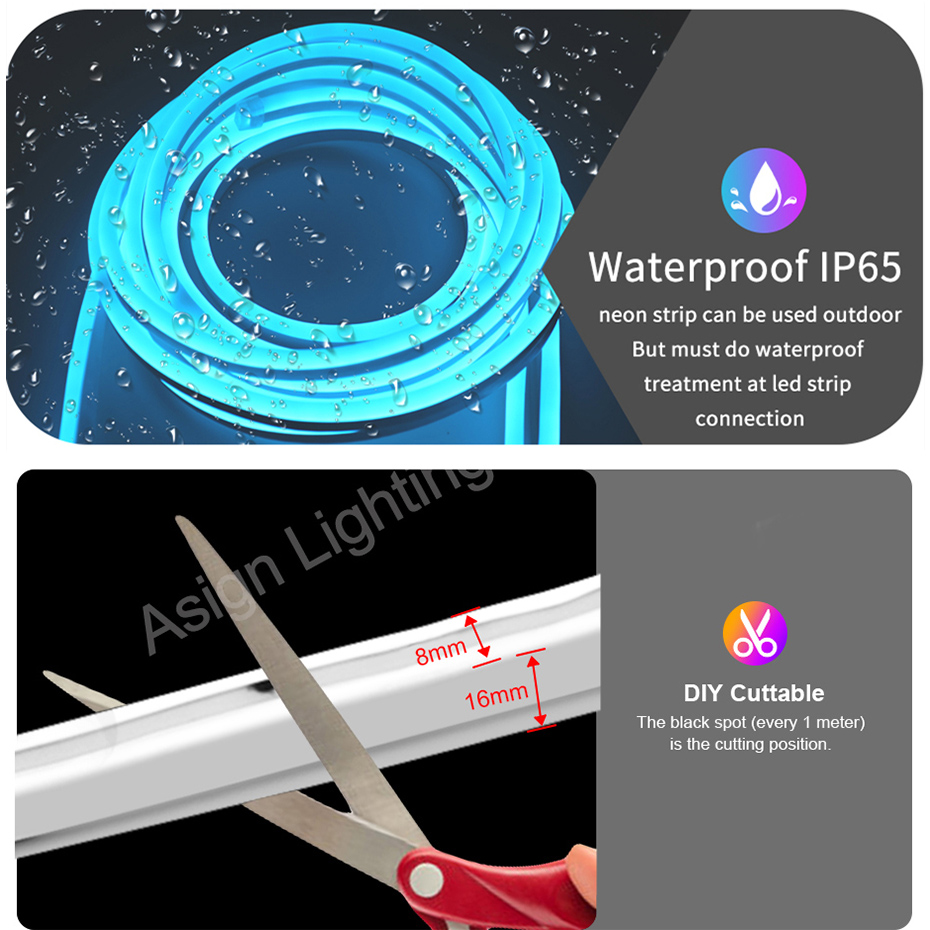 Akıllı RGB Led Neon Işık AB İn - Smart Garden Lights Uk incelemesi ve fiyatı