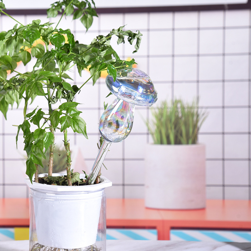 1/2 adet cam saman otomatik bi - Smart Garden Herb incelemesi ve fiyatı
