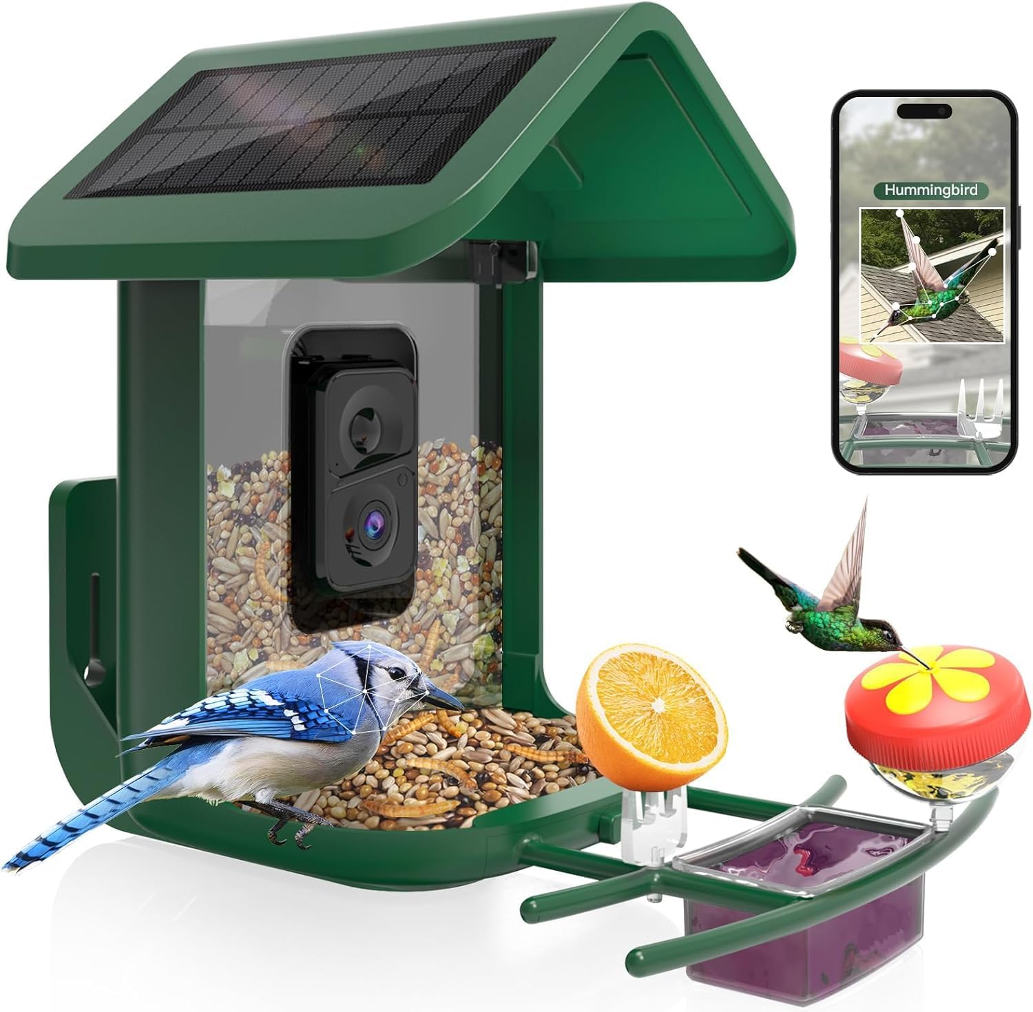 Akıllı Kuş Besleyici, Kameralı - Smart Bird Feeder Camera incelemesi ve fiyatı