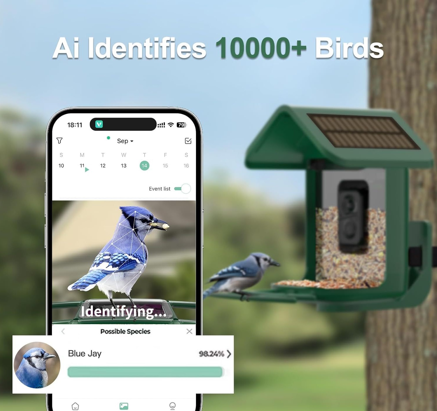 Akıllı Kuş Besleyici, Kameralı - Smart Bird Feeder Camera incelemesi ve fiyatı