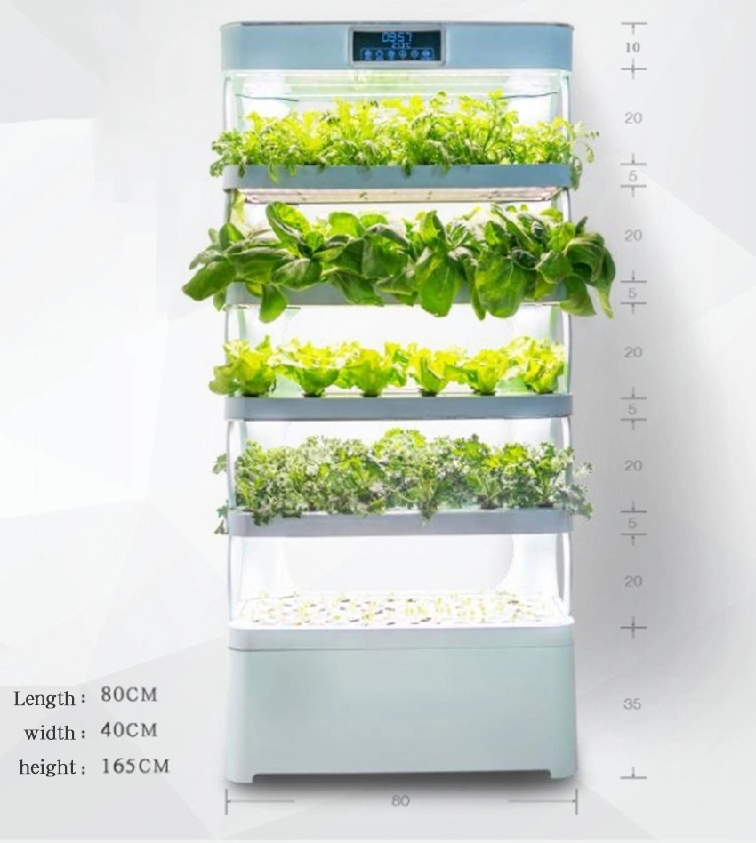 Evde Hidroponik Yetiştirme Sis - Smart Garden Vertical incelemesi ve fiyatı
