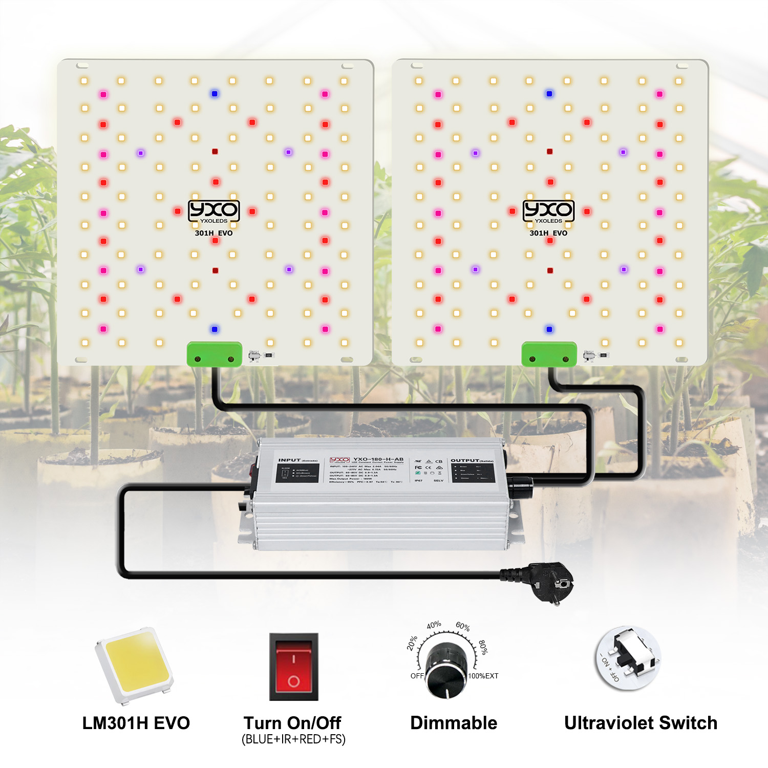 85W 180W LM301H EVO Kuantum LE - Grow Tent Complete Kit incelemesi ve fiyatı