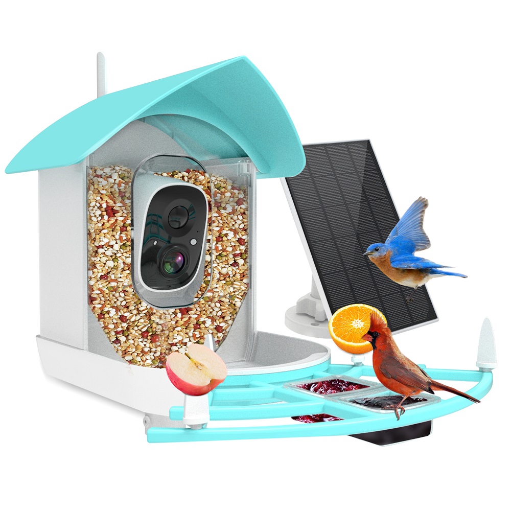 Kablosuz Otomatik Evcil Hayvan - Smart Bird Feeder Camera incelemesi ve fiyatı
