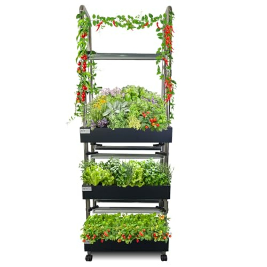 İç mekan hidroponik yetiştirme - Smart Garden Vertical incelemesi ve fiyatı