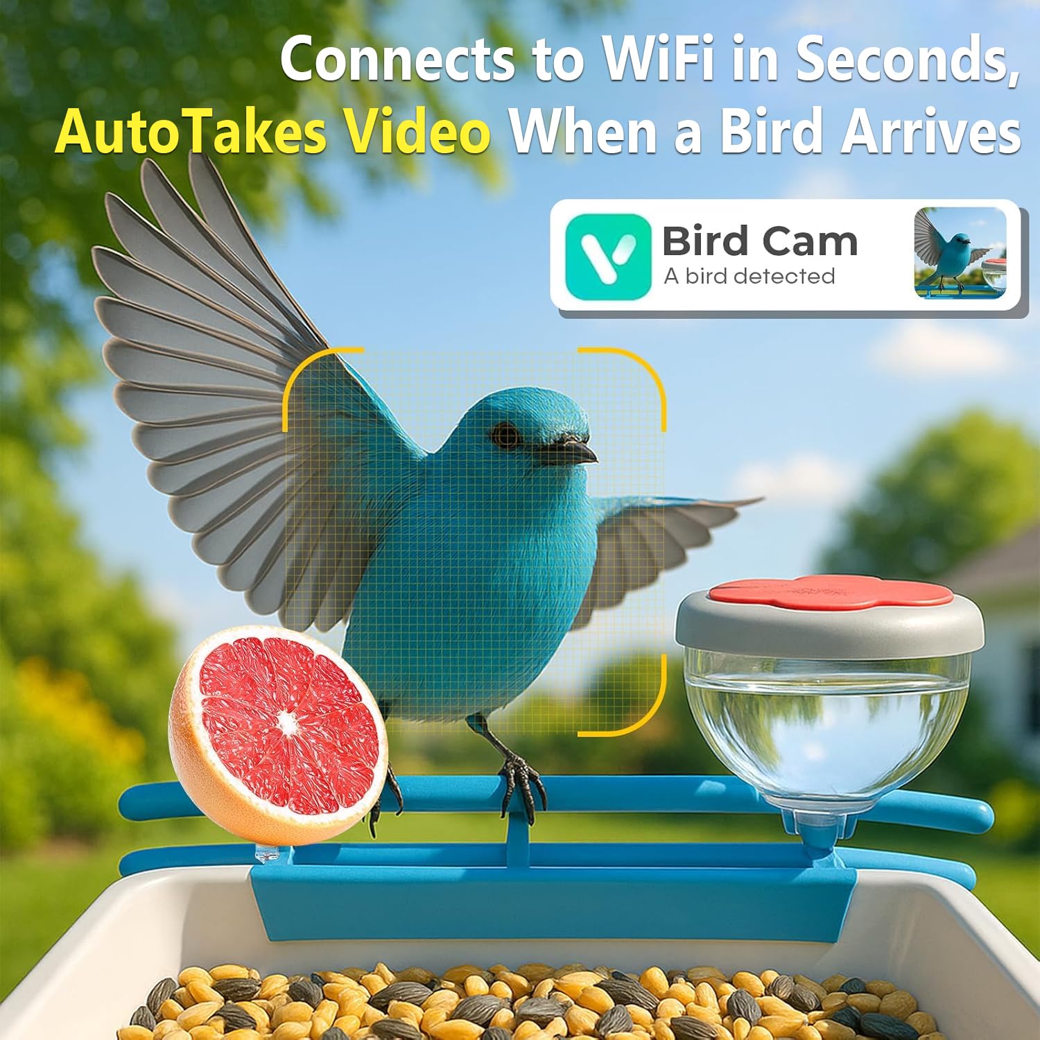 Akıllı Kuş Besleyici Kamera 2K - Smart Bird Feeder Camera incelemesi ve fiyatı