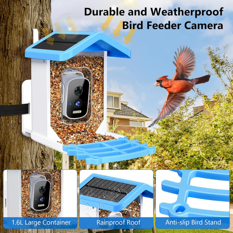 Kamera, Yapay Zeka Kuş Türleri - Smart Bird Feeder Camera incelemesi ve fiyatı