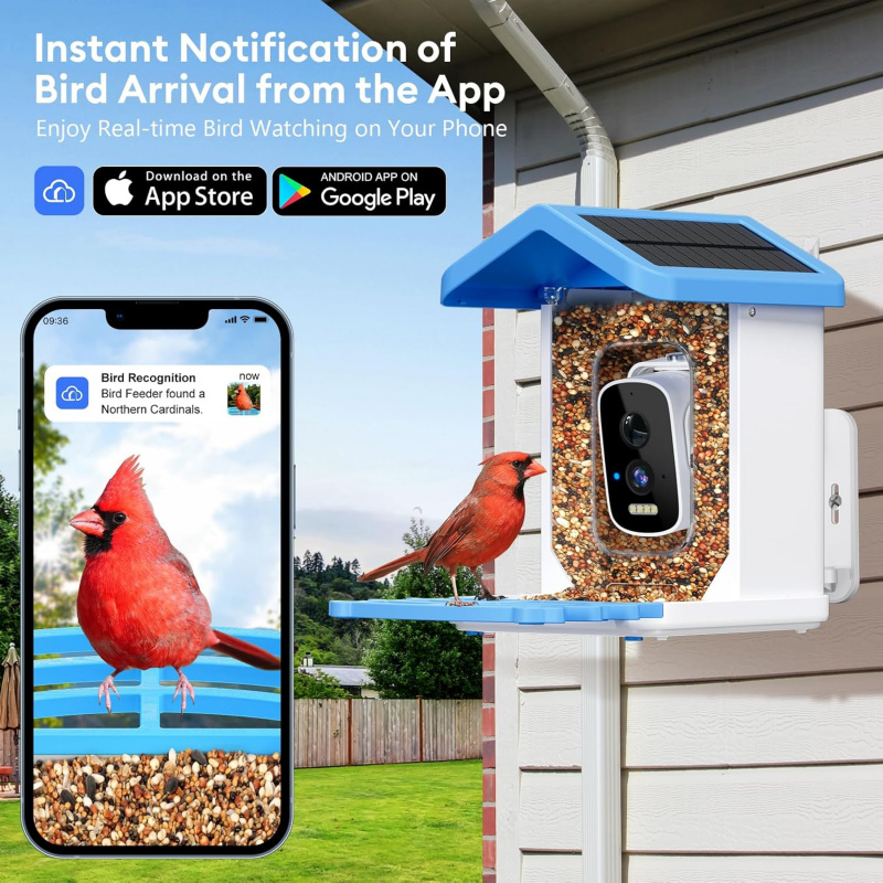 Kamera, Yapay Zeka Kuş Türleri - Smart Bird Feeder Camera incelemesi ve fiyatı