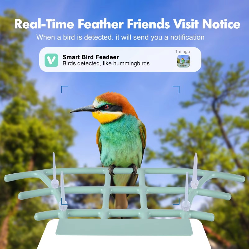 Akıllı Kuş Besleyici Gece Görü - Smart Bird Feeder Camera incelemesi ve fiyatı