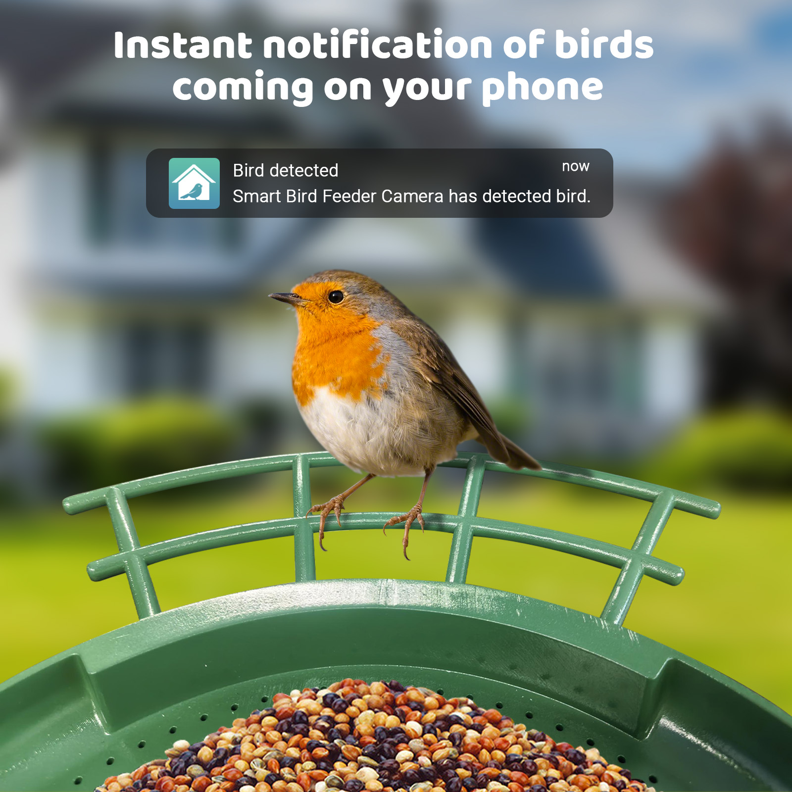 Akıllı Çift Kameralı Kuş Besle - Smart Bird Feeder Camera incelemesi ve fiyatı