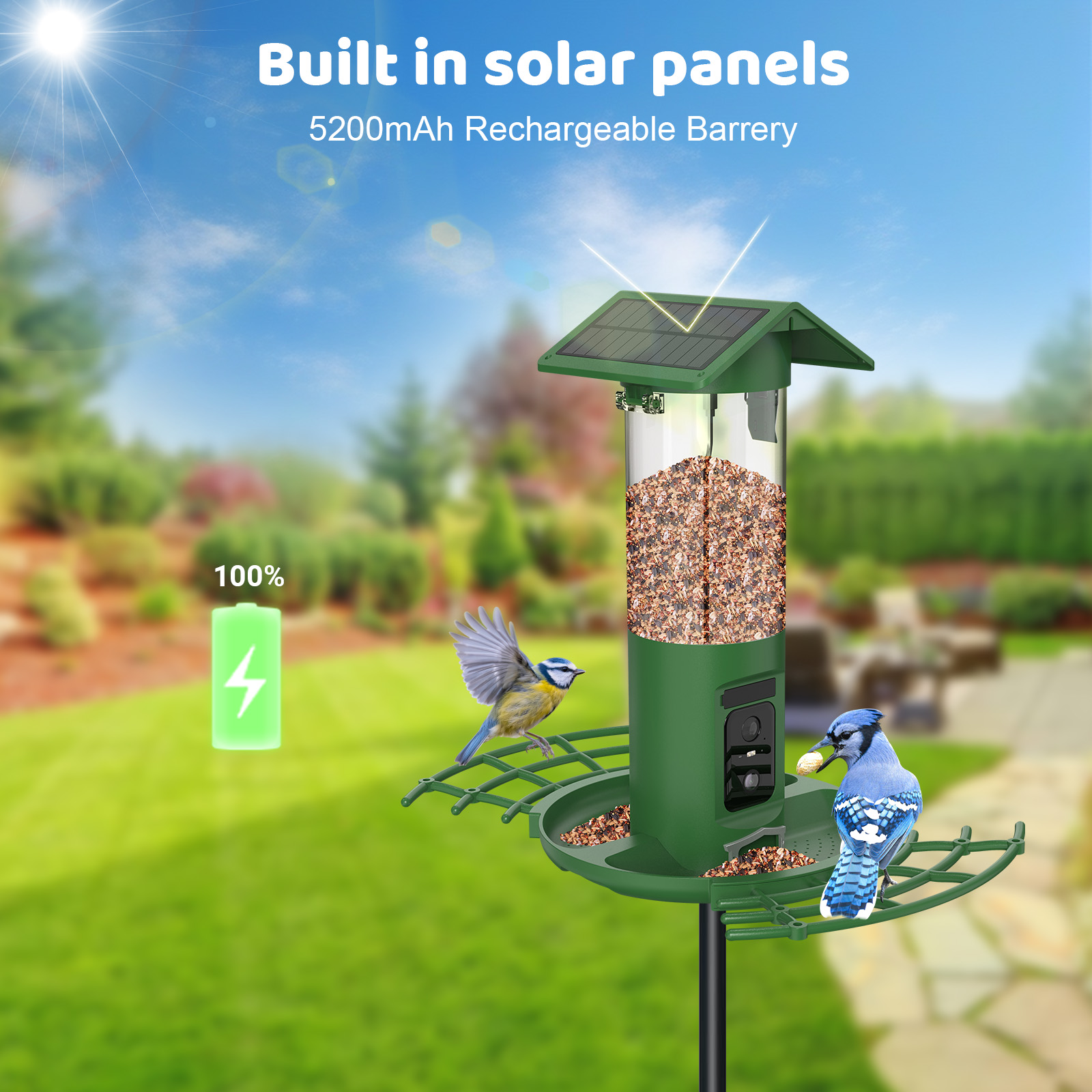Akıllı Çift Kameralı Kuş Besle - Smart Bird Feeder Camera incelemesi ve fiyatı