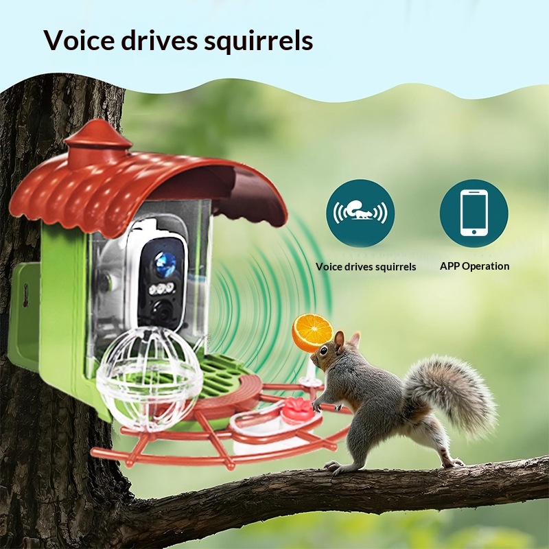Dış Mekan Güneş Enerjili Otoma - Smart Bird Feeder Camera incelemesi ve fiyatı