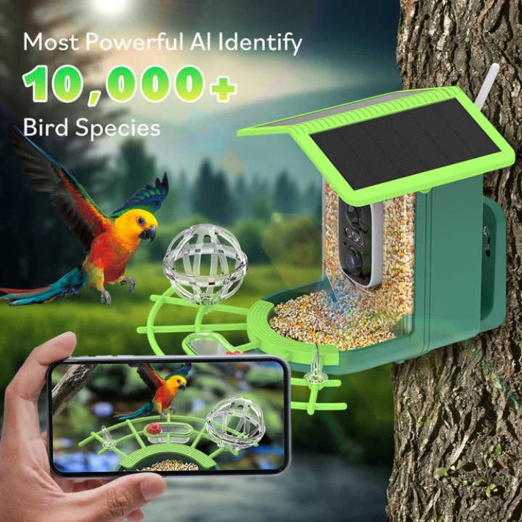 Akıllı Kuş Besleyici 4MP Full  - Smart Bird Feeder Camera incelemesi ve fiyatı