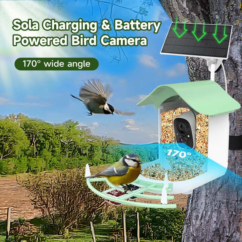 2026 Uygulama Video Otomatik K - Smart Bird Feeder Camera incelemesi ve fiyatı