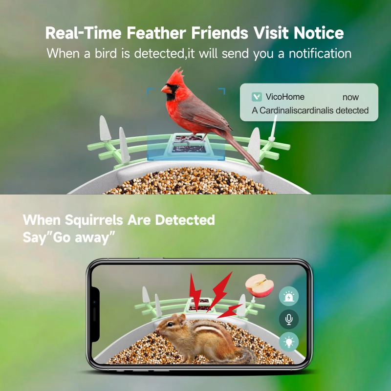 2026 Uygulama Video Otomatik K - Smart Bird Feeder Camera incelemesi ve fiyatı